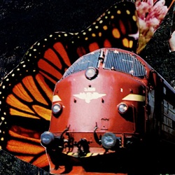 Train and butterfly